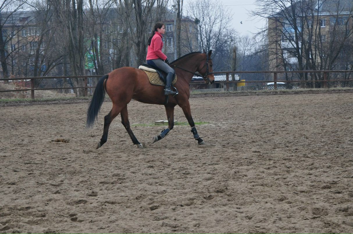 Olja Noname | Киев