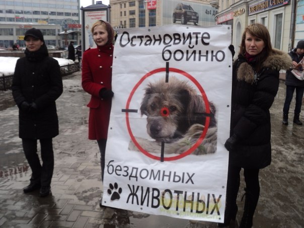 Айгуля Костырко | Казань