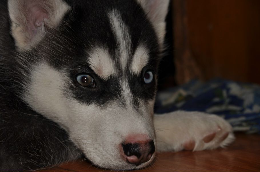 №88, Наталия Милославская, 34 года, Ялта №88, Наталия Милославская, 34 года, Ялта