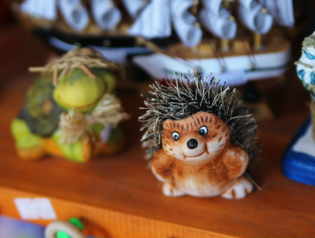 Елена Попова | Москва