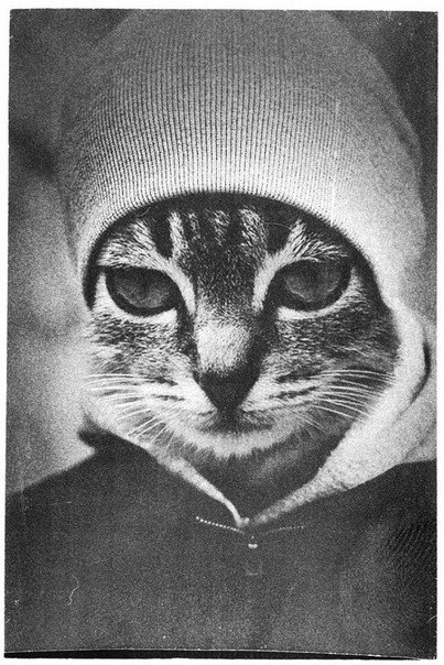 Макс Похлебаев | Катав-Ивановск