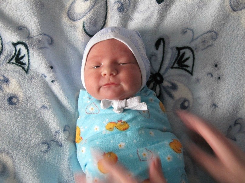 Дмитрий Александров | Тосно