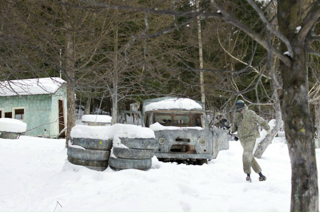 Анатолий Стельнов *Вежливый Лось* | Москва