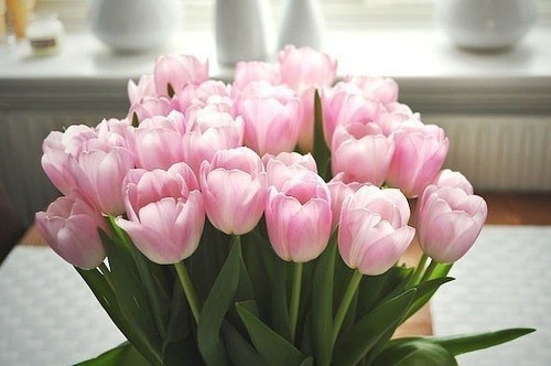 Олечка Ночевная | Запорожье