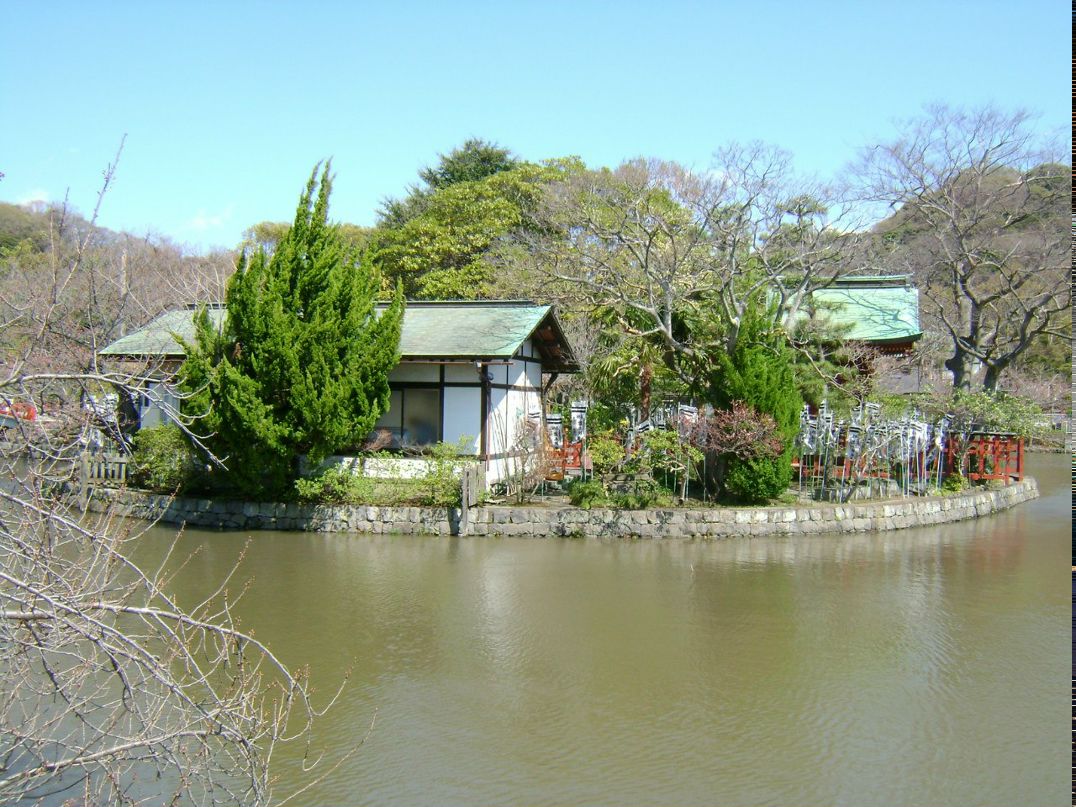 Дмитрий Дмитриев [Cero] | Санкт-Петербург