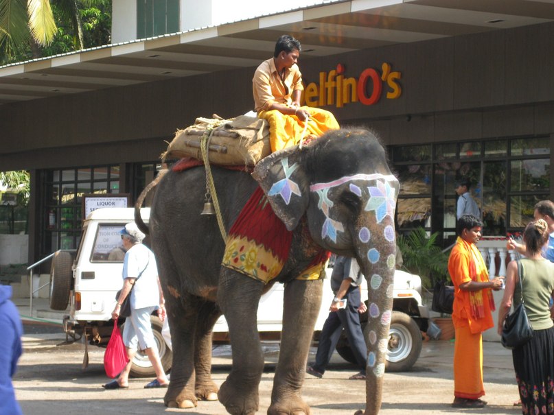 Лилия Винник | Самара
