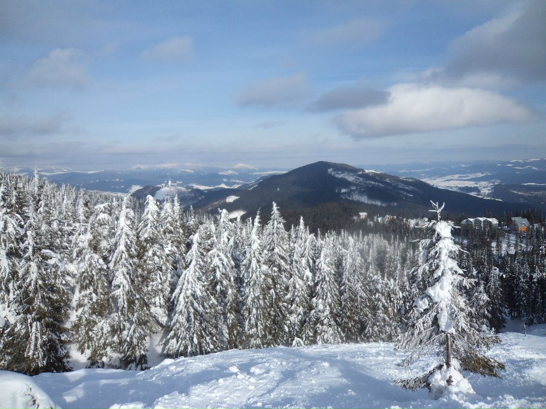 Вита Попок | Киев