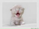№1 Ольга Никитина 25.07.1987: профиль, фото, статус - ВКонтакте