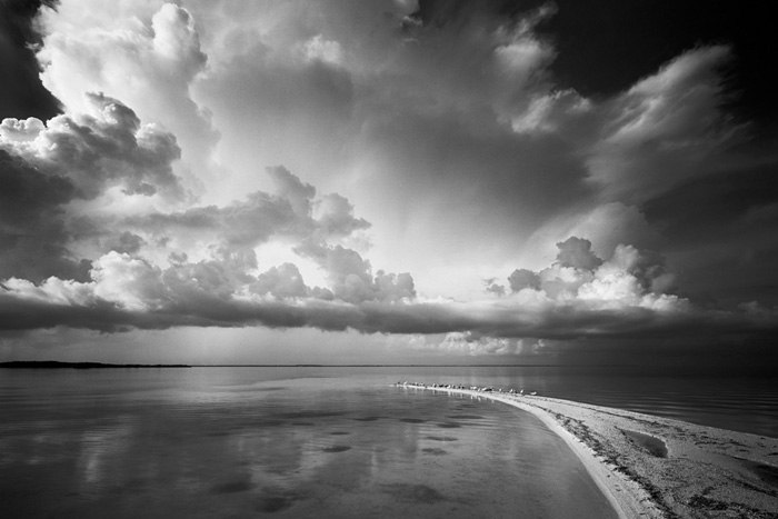 Маша Петичкина | Запорожье