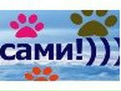 Сергей Лихачевский | Минск