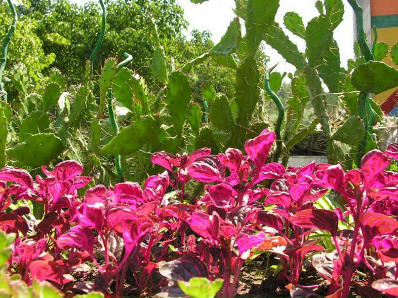 Наталья Ганиева | Tokyo