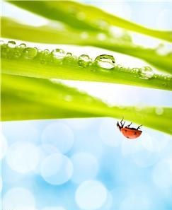 №101, Мария Цветкова, Москва №101, Мария Цветкова, Москва