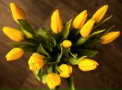 №3 Дмитрий Марков : профиль, фото, статус - ВКонтакте