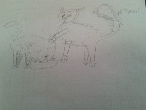 №120, Сергей Покалюхин, 31 год, Тюмень №120, Сергей Покалюхин, 31 год, Тюмень