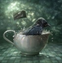 Фотография Поповой Елены