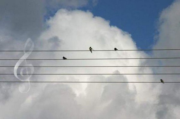 Александр Нейжмак | Днепр (Днепропетровск)