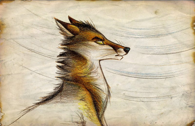 Анюта Желнина ♫ ka†ze ♪ | Санкт-Петербург