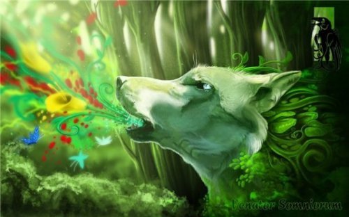 №16, Саша Федулина, 35 лет, Санкт-Петербург №16, Саша Федулина, 35 лет, Санкт-Петербург