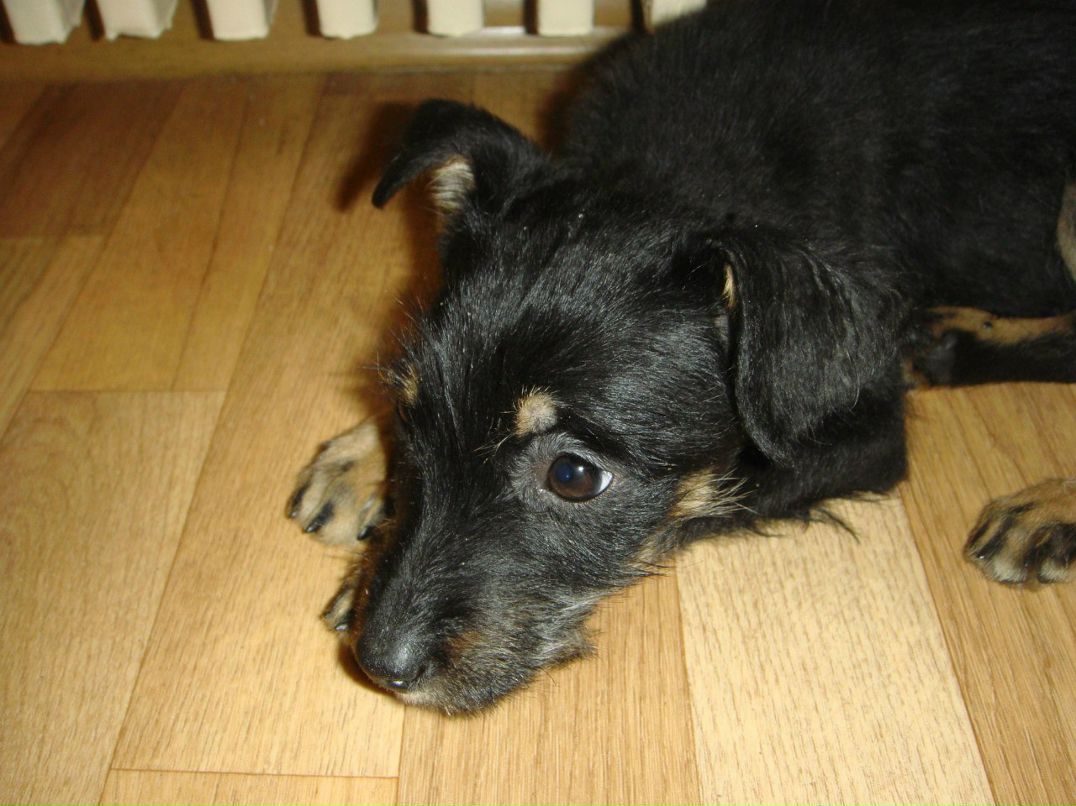 Оксана Терещенко | Днепр (Днепропетровск)