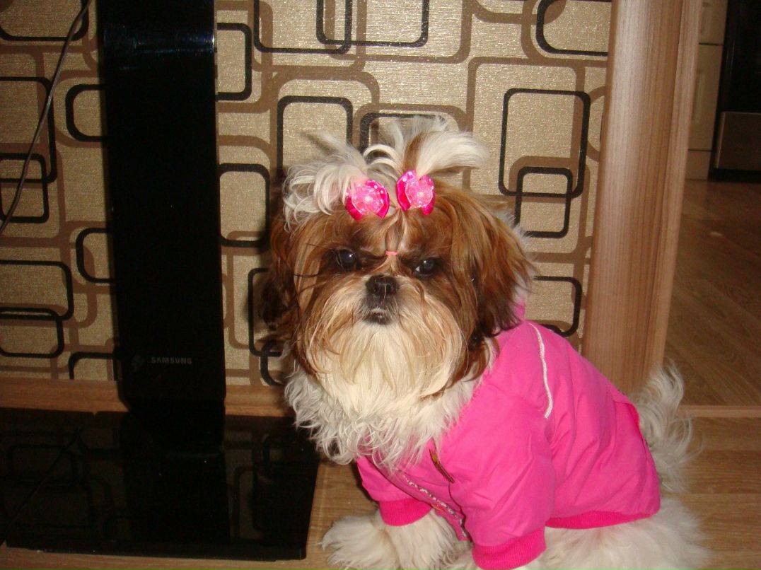 Ирина Рубцова | Вологда