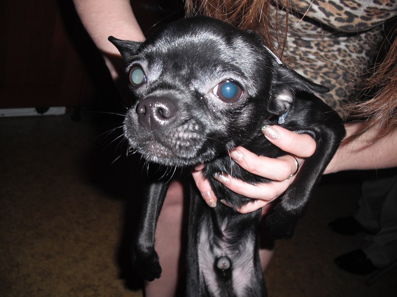 Диля Мяльдзина | Москва