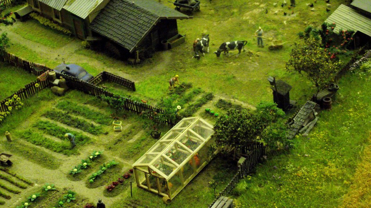 Стс Зрнскй | Санкт-Петербург