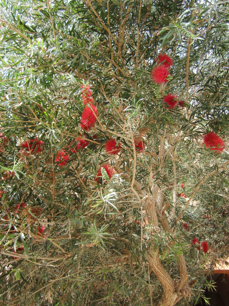 Надежда Озерова | Москва