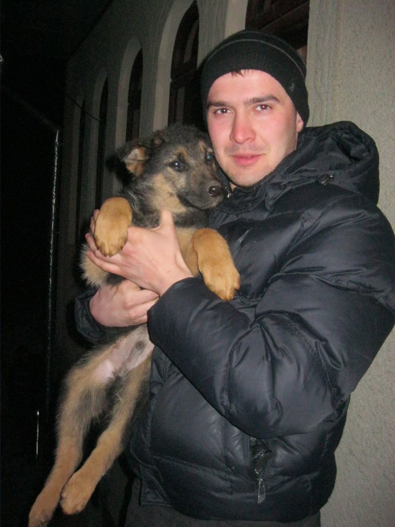 Дініс Панчук | Черновцы