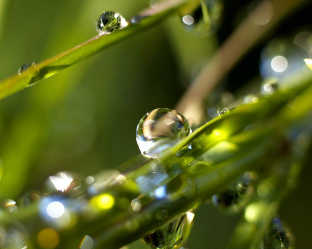 Светлана Гилемьянова | Уфа