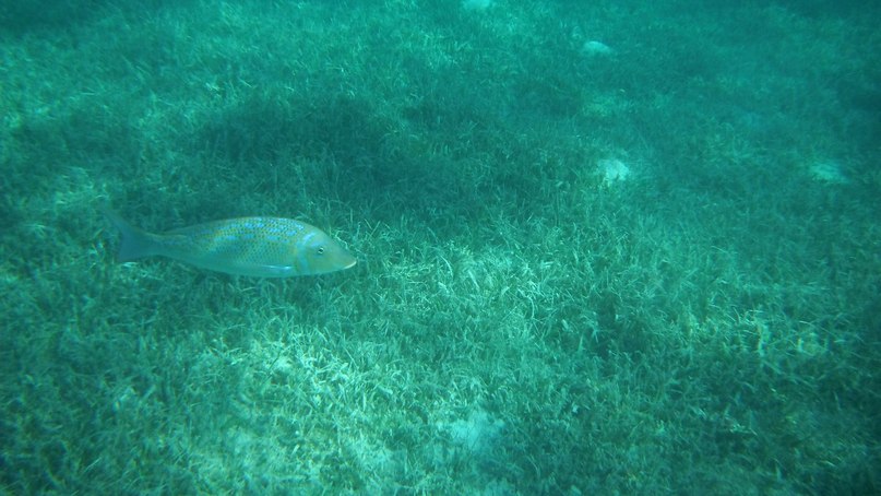 Андрей Калуга | Калуга (деревня)