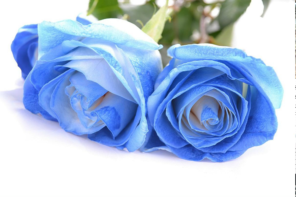 Александра Долгих | Щелково