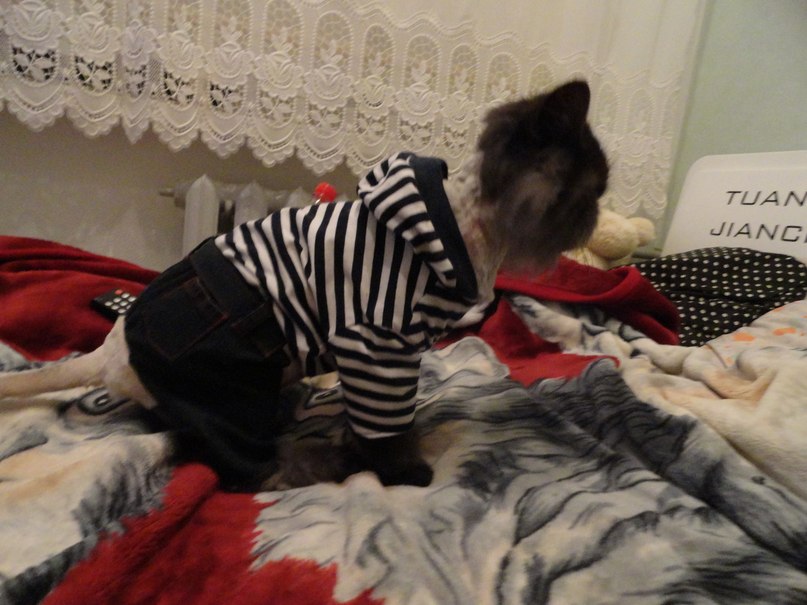 Александра Зверева | Таллин