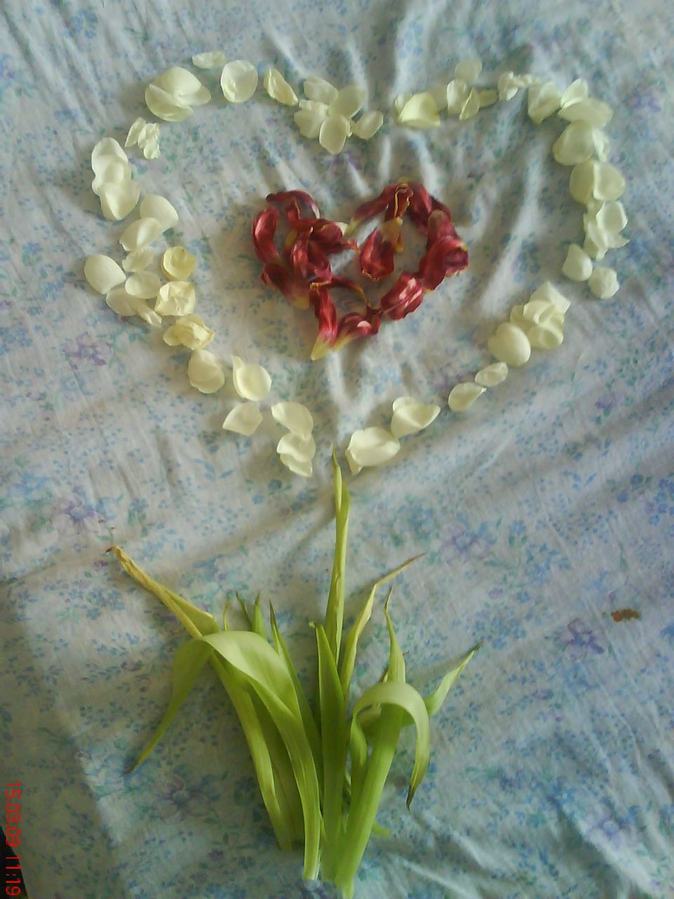 Мария Котохина ~Serdechko~ | Екатеринбург