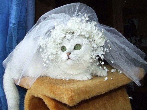 Виктория Лисенко | Красноярск