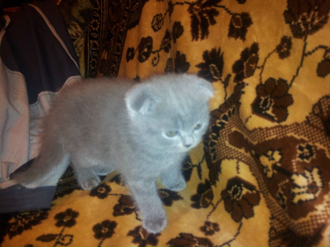 Альберт Гизатов | Кострома