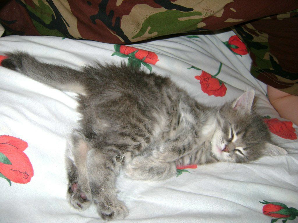 Олька Облакова | Нижний Новгород