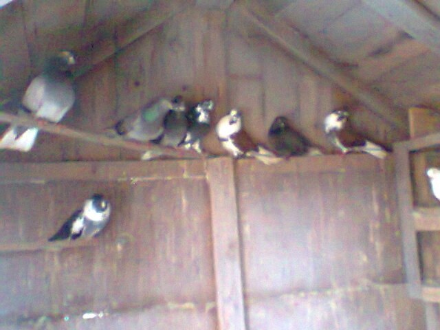 Игорь Авдеев | Москва