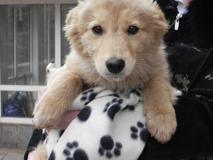 Татьяна Дёмина | Кривой Рог