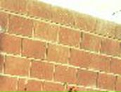 Айгуль Хаертдинова | Мишкино