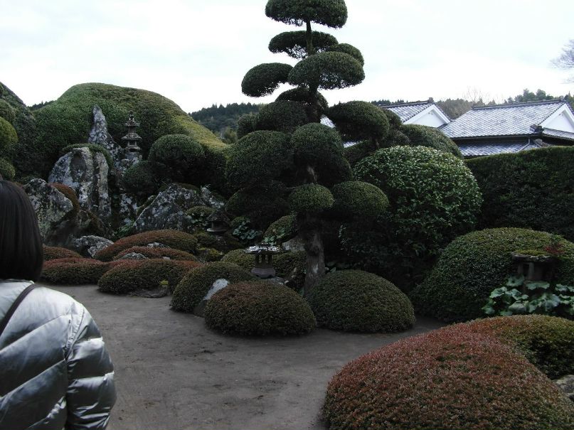 Кодзи Наката | Hamamatsu