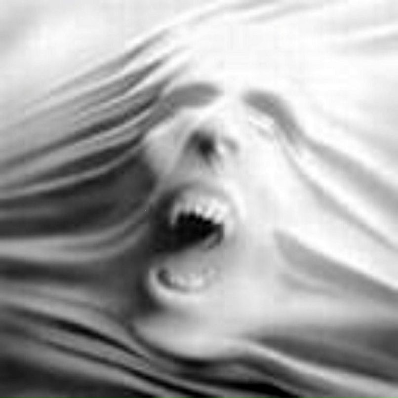 Максим Чуменков | Санкт-Петербург