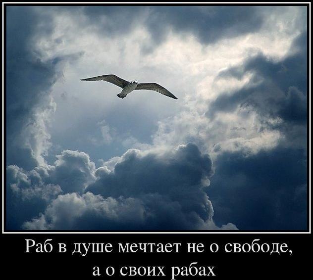Степан Бацанов | Новосибирск