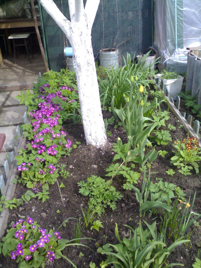 Елена Кувыркова (Ополченцева) | Волхов