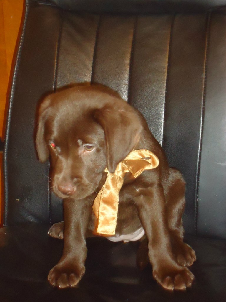 Елена Прокопьева | Санкт-Петербург