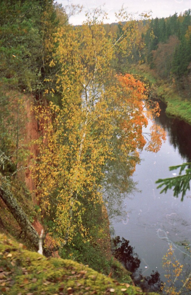 Геннадий Петров | Санкт-Петербург