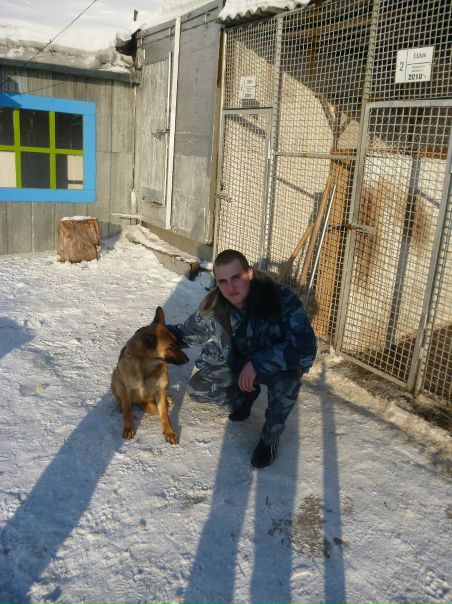 №12, Артём Шестирублёв, Харп №12, Артём Шестирублёв, Харп