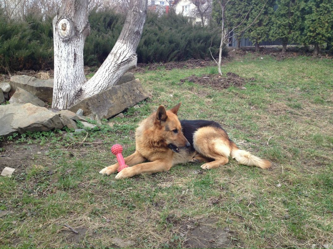 Стас Лопатинский | Иерусалим