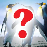 Ивана Иванова | 