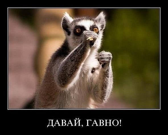 Максим Богачёв | Москва