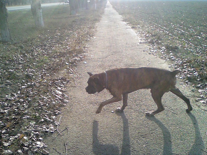 Татьяна Кортасаренко | 